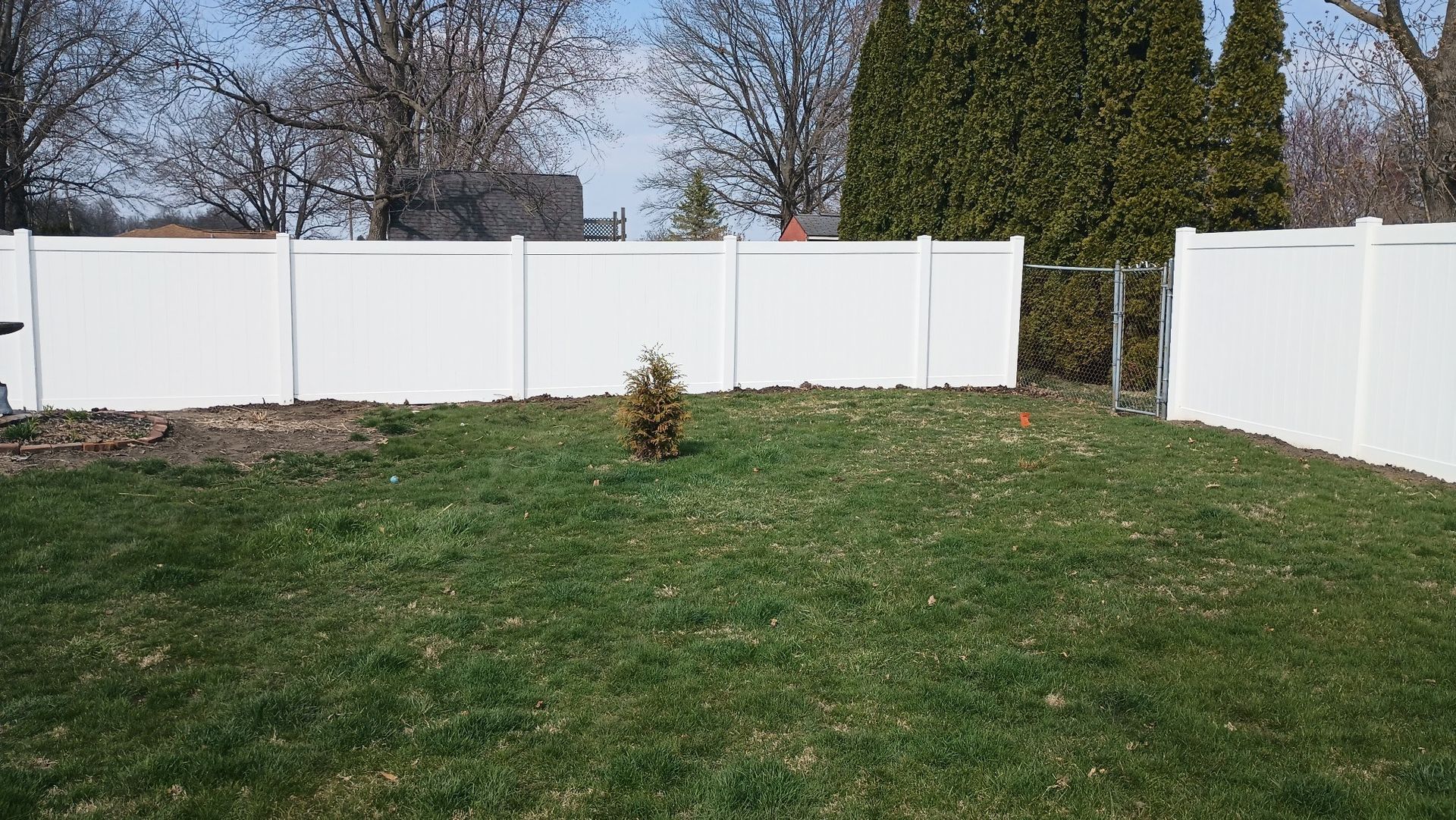 A fenced backyard with a green lawn, scattered leaves, and a small central evergreen tree under a clear blue sky.