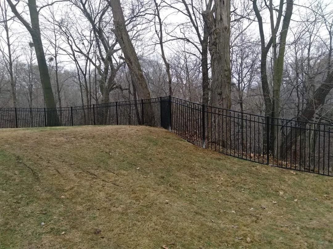 A black metal fence curves around a small grassy hill with bare trees in the background.