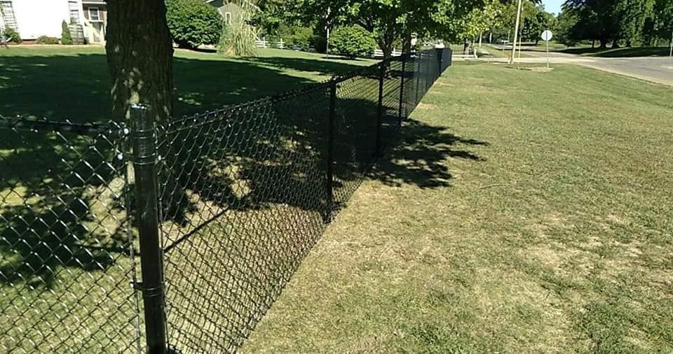 Black chain link fence along a grassy area, with trees in the background and a street to the right.