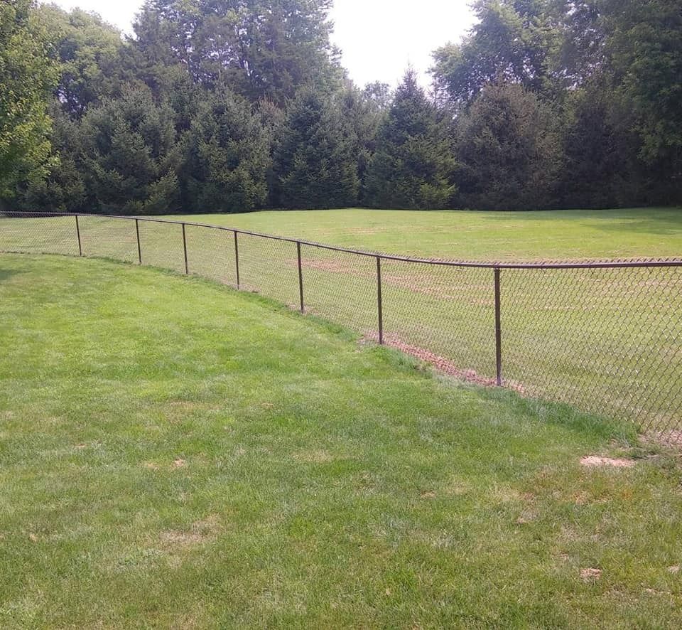Chain-link fence on grassy hill, trees in background, sunny outdoor setting.