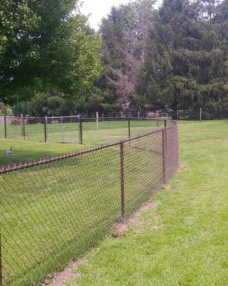 A chain-link fence curves across a grassy yard, with trees in the background under a bright sky.