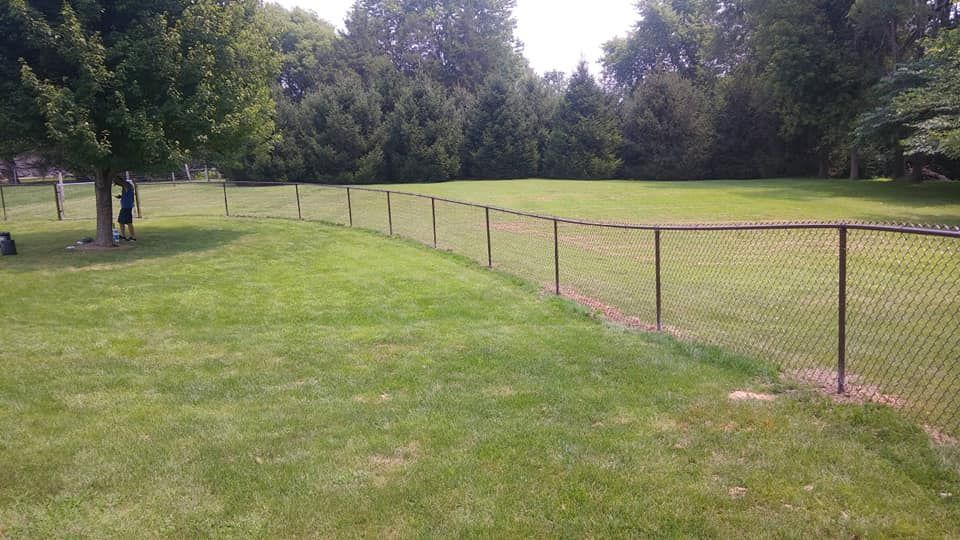 A person stands by a tree in a grassy yard separated by a chain-link fence, with a line of trees in the background.