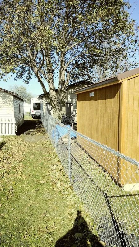 A backyard with a chain-link fence, a wooden shed, a tree, and a short white picket fence in the distance.