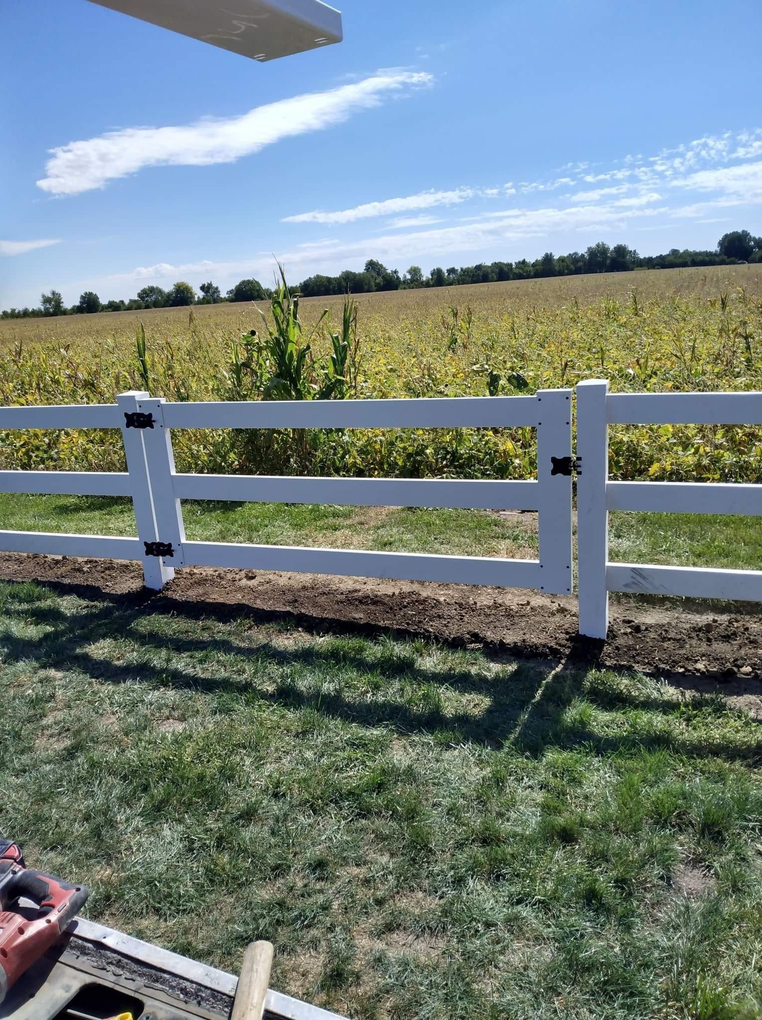 White three-rail fence in front of a field of yellow crops under a blue sky.