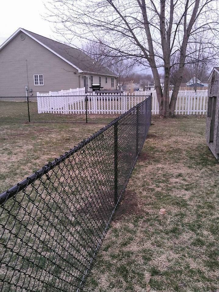 A black chain-link fence runs across a residential lawn, with a white picket fence and a house visible in the background.