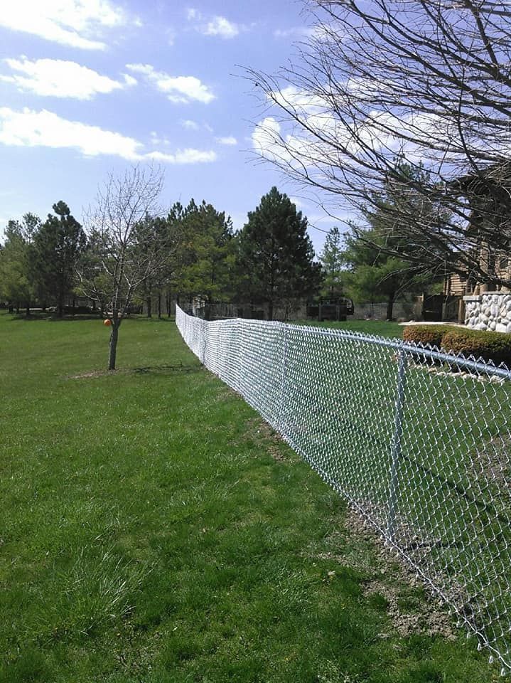 A chain-link fence stretches across a green lawn toward trees under a bright blue sky.