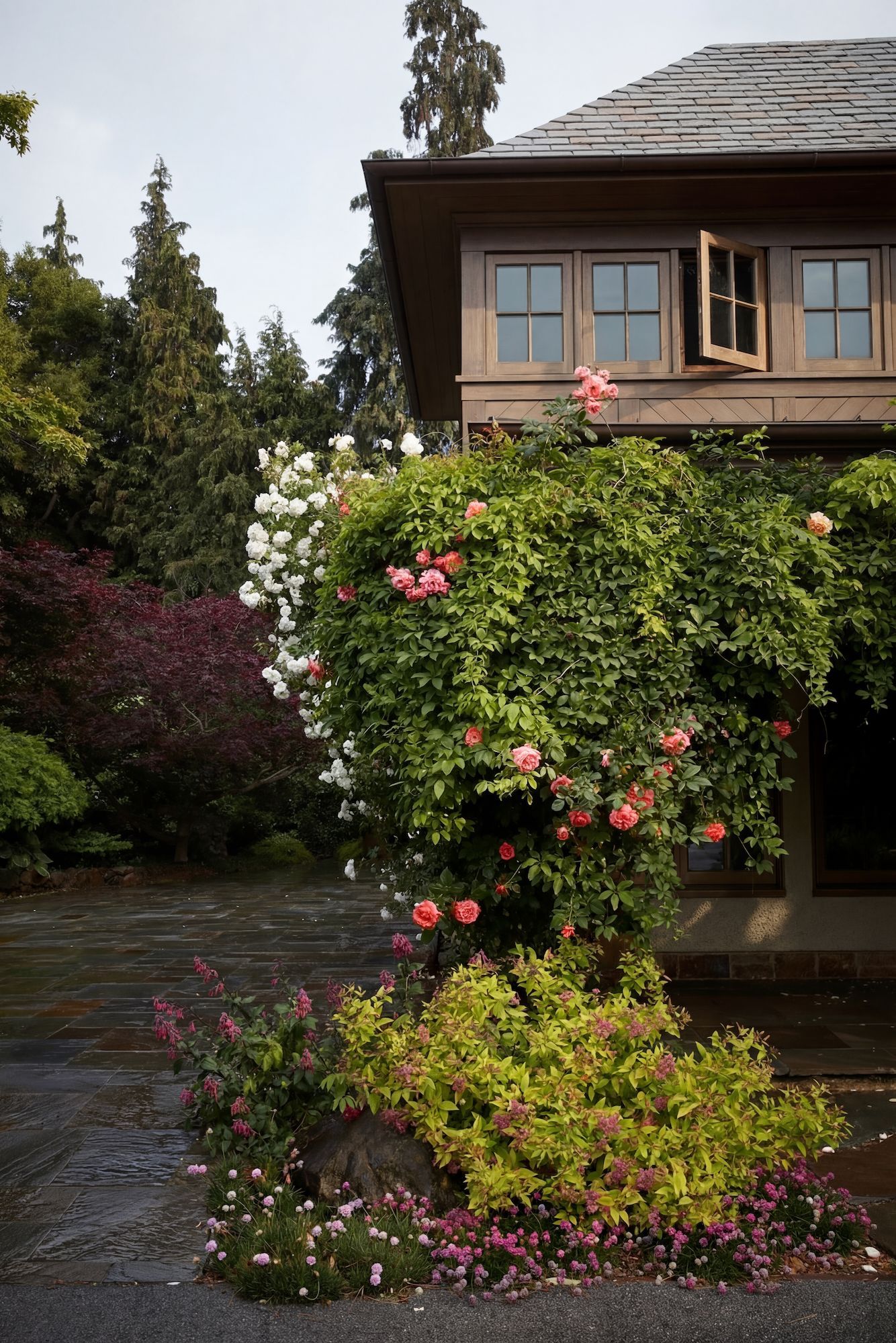 Rose-covered trellis beside a brown house. Flowers in pink, green, and purple in a garden setting.
