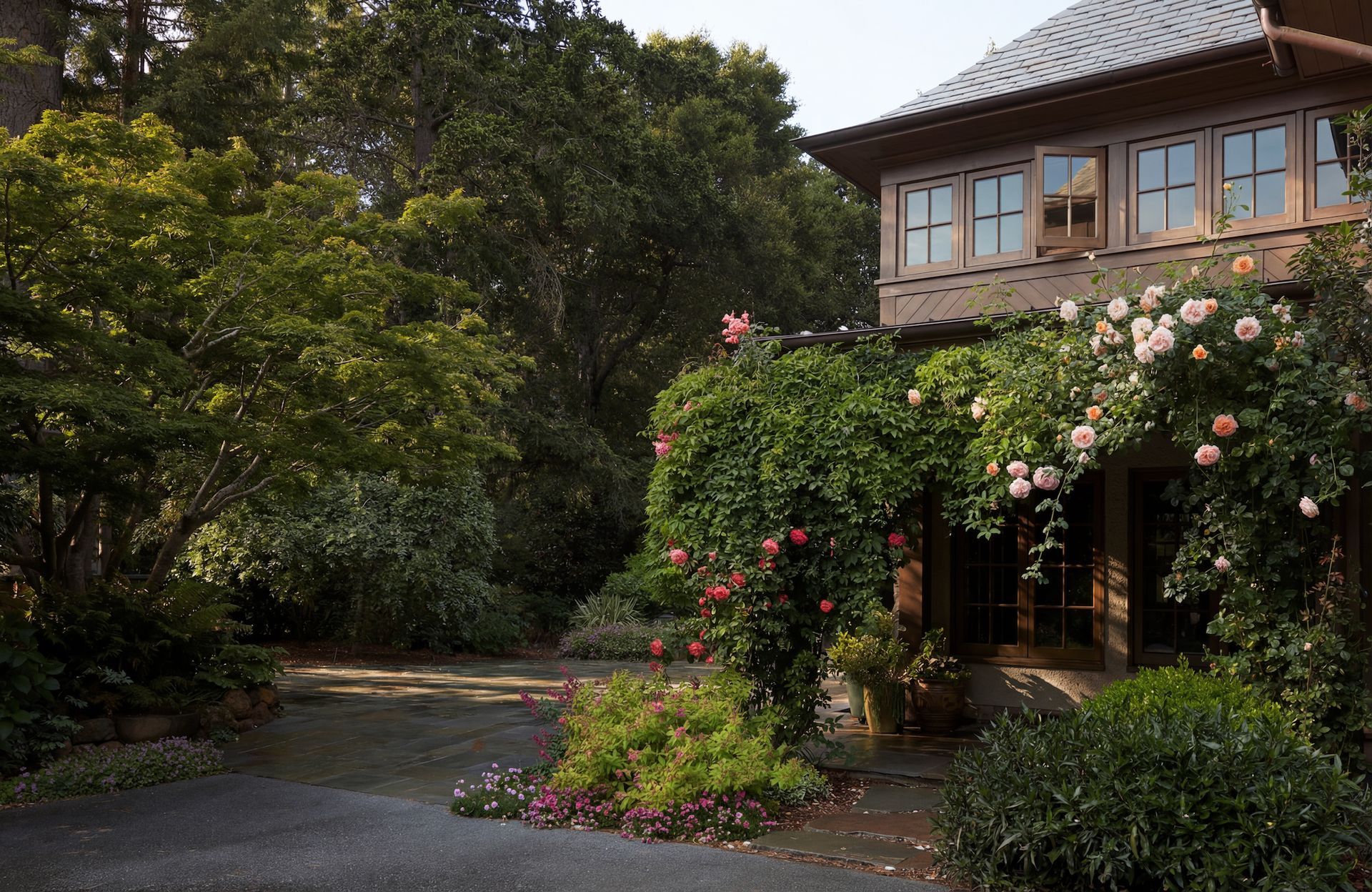 House with climbing roses, lush greenery, and a gray asphalt driveway.