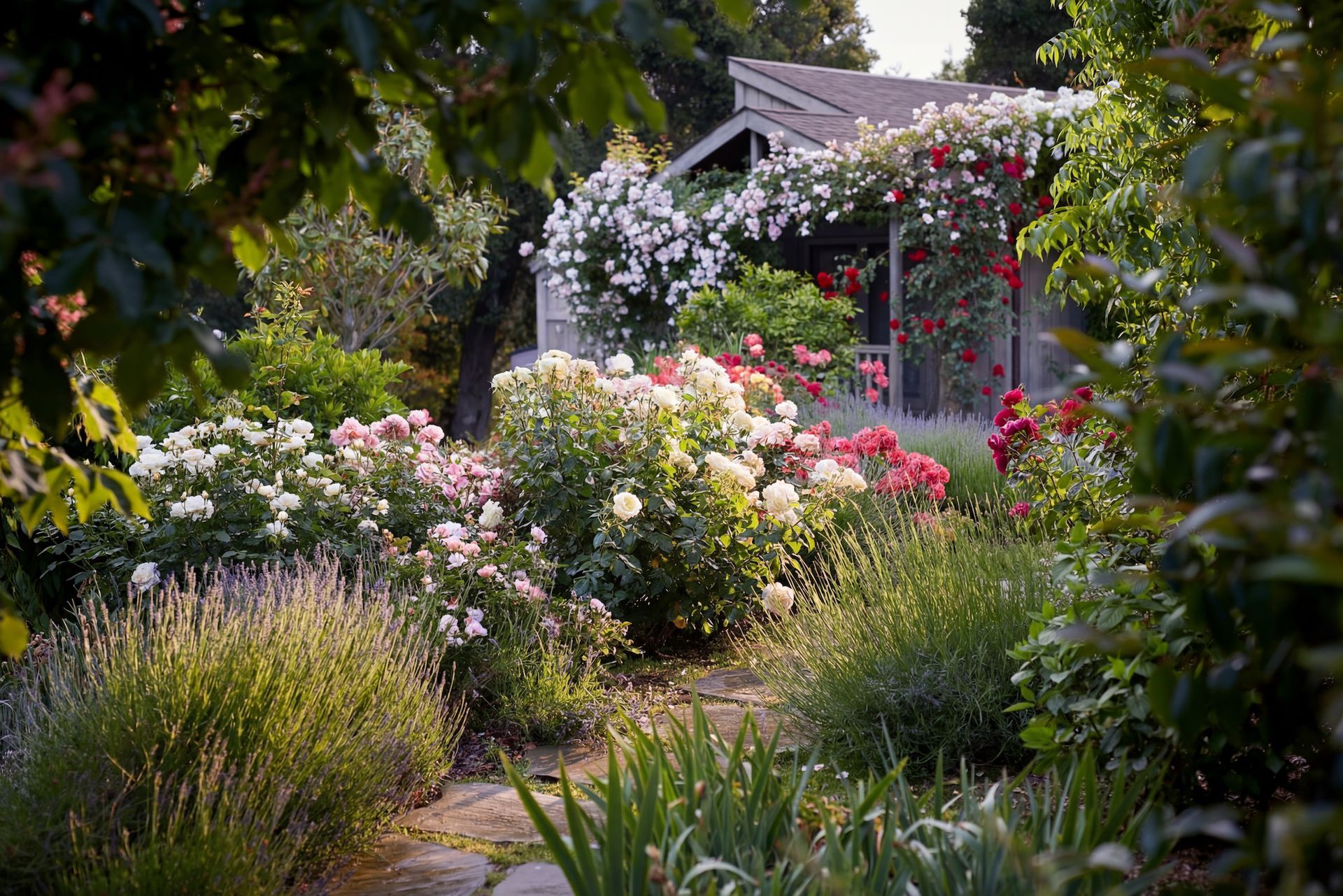 Lush garden with various flowering bushes in front of a small structure covered in climbing roses.