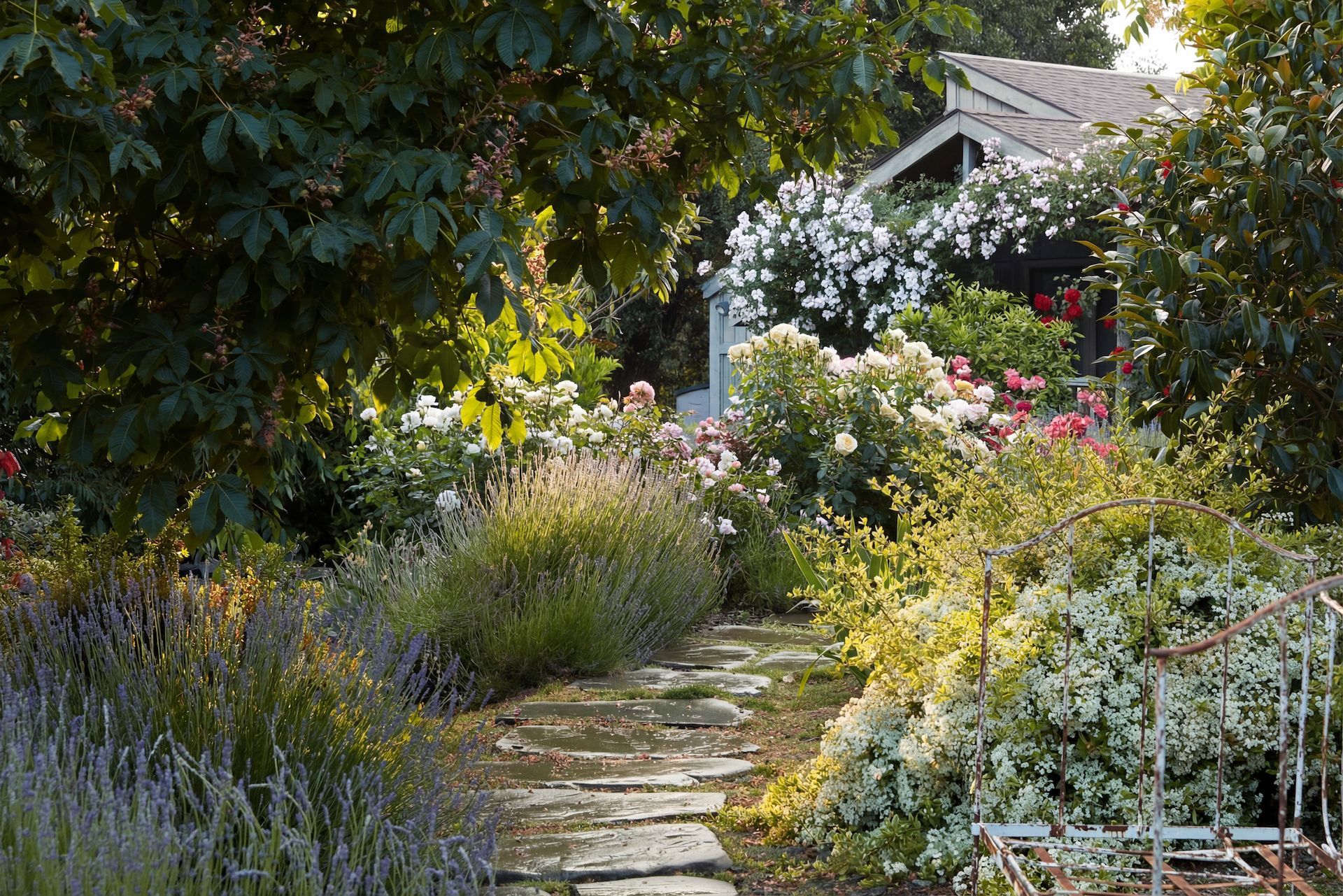 Stone path through a lush garden with white and pink flowers, leading to a small building.