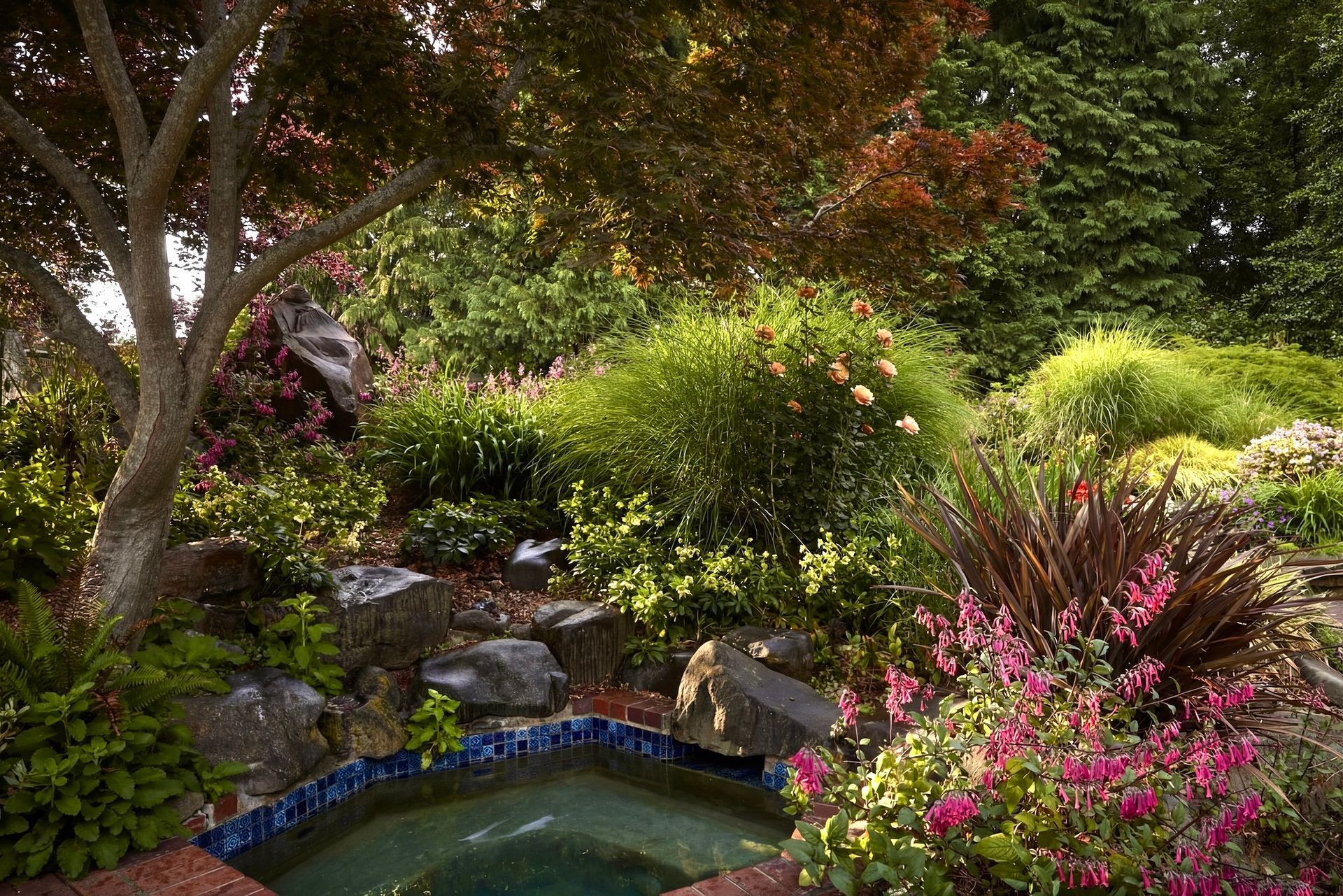 Lush garden with a small tiled pool, surrounded by various flowering plants, trees, and rocks; sunny day.