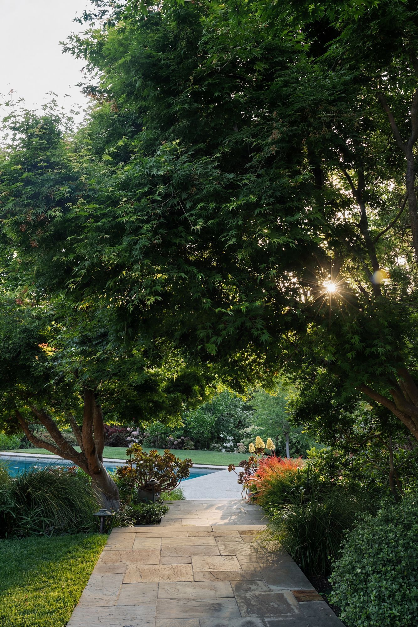 Stone path leads through lush green trees towards a sunlit garden with a pool.