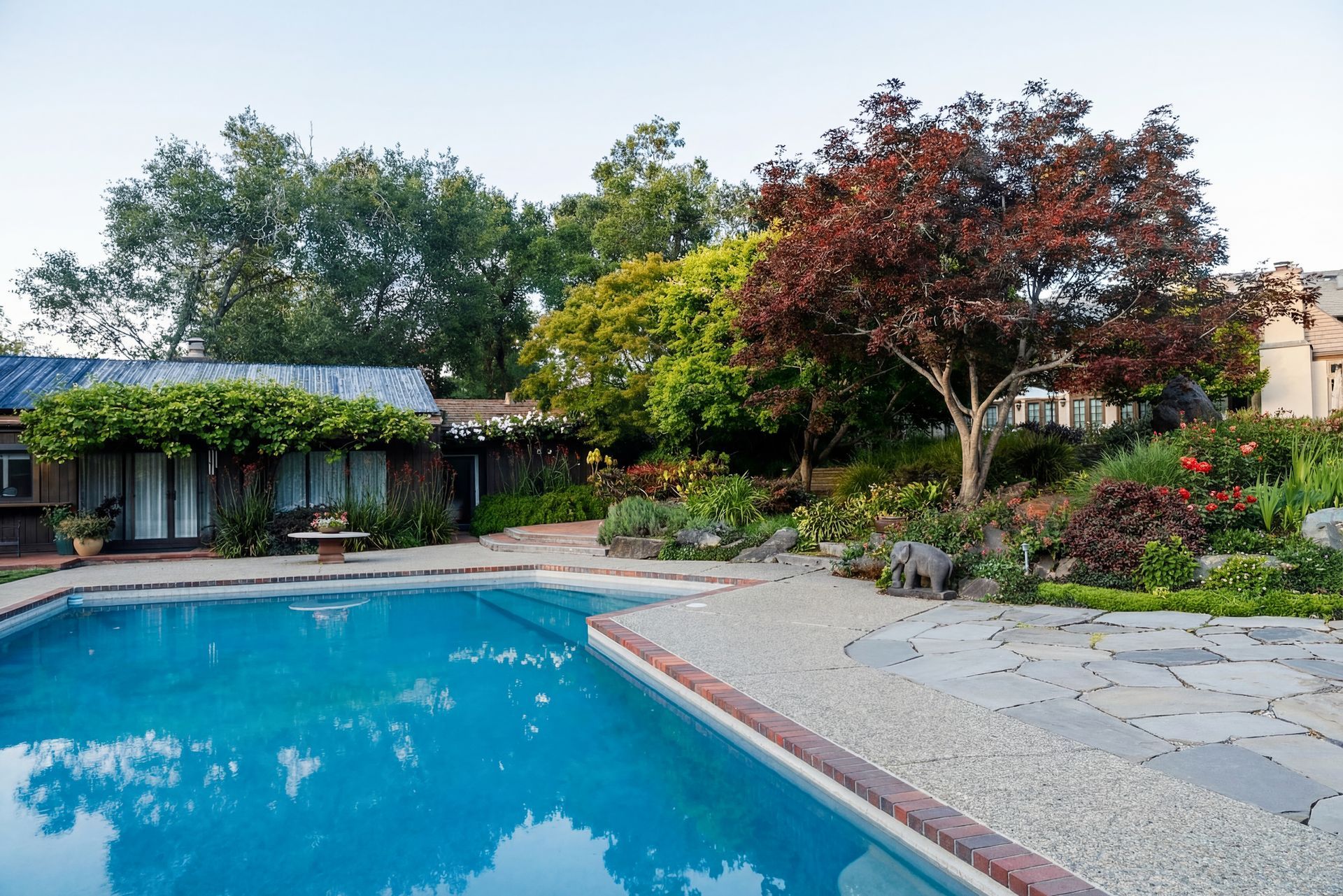 Poolside view with turquoise water, stone patio, and lush garden with a red-leaved tree.