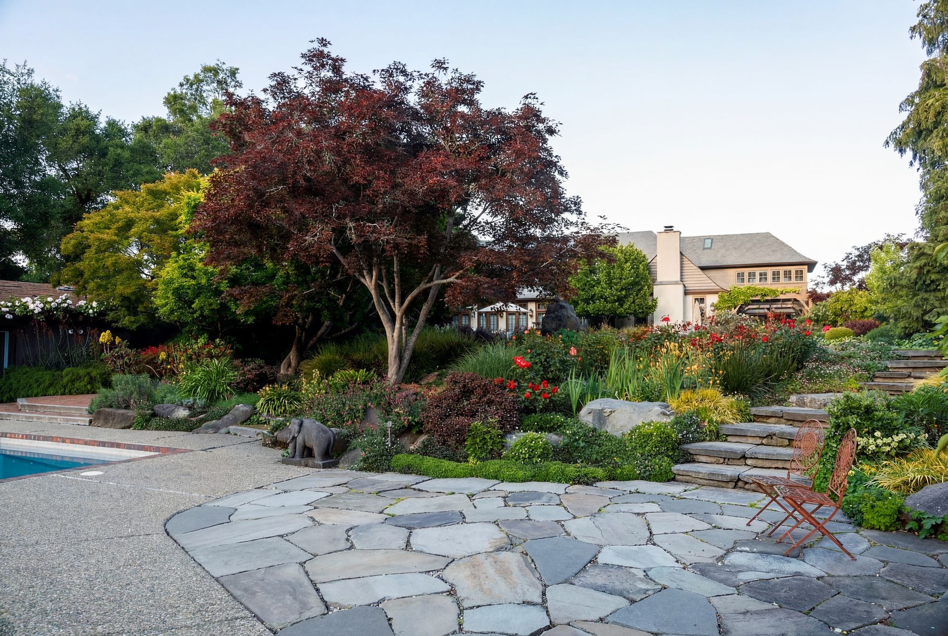 Stone patio and garden with red-leafed tree and house in the background.