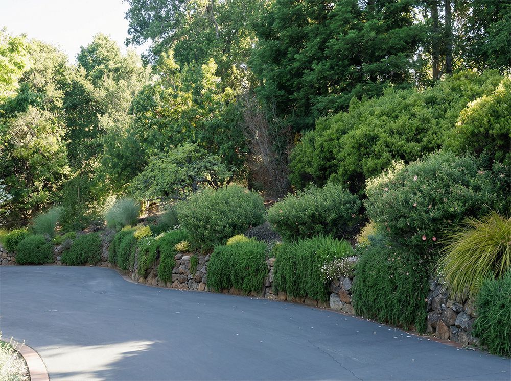 Asphalt driveway borders a low stone wall with lush greenery and trees in a sunny setting.