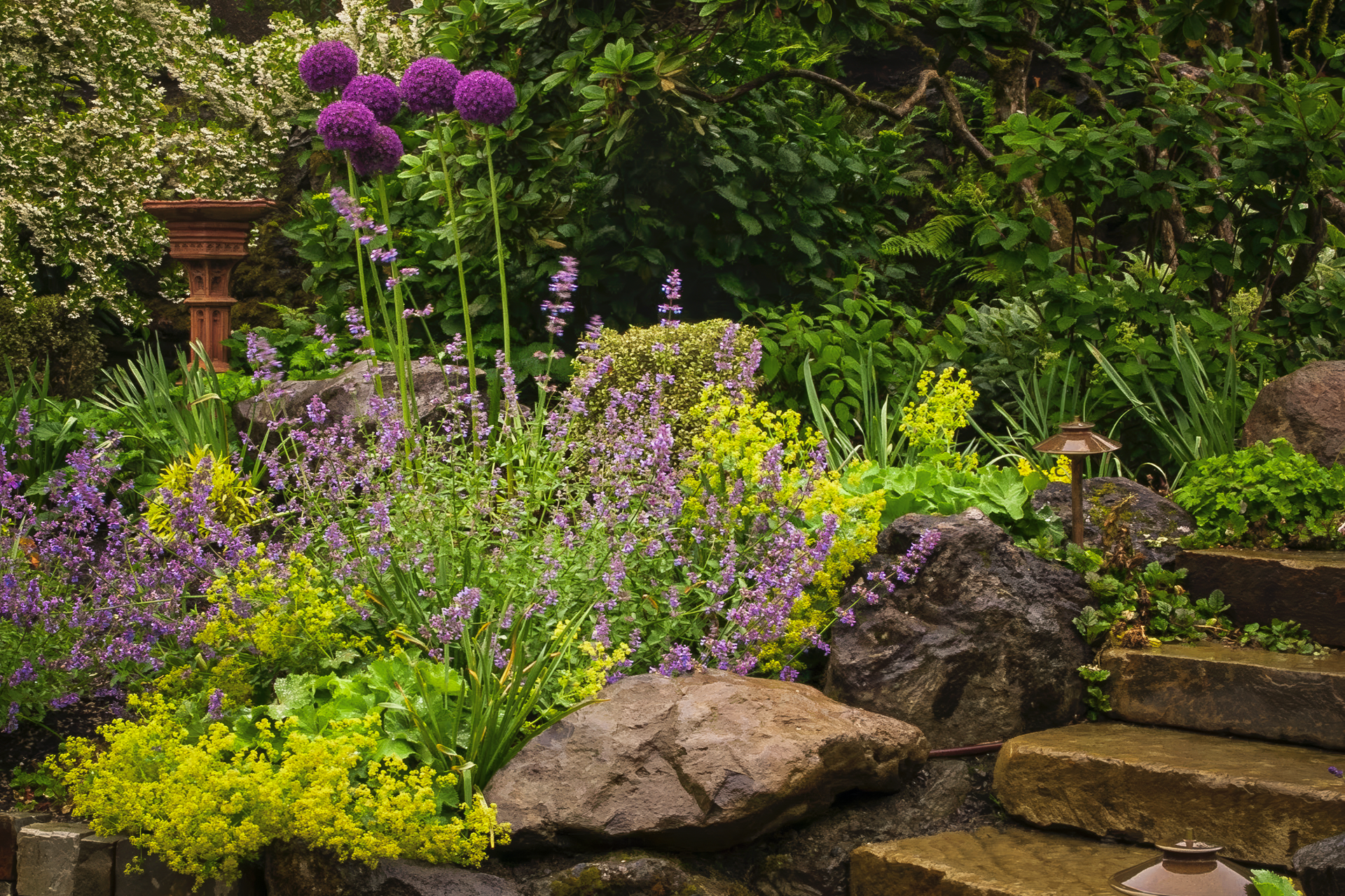 Purple allium and yellow flowers bloom amongst rocks in a garden setting.