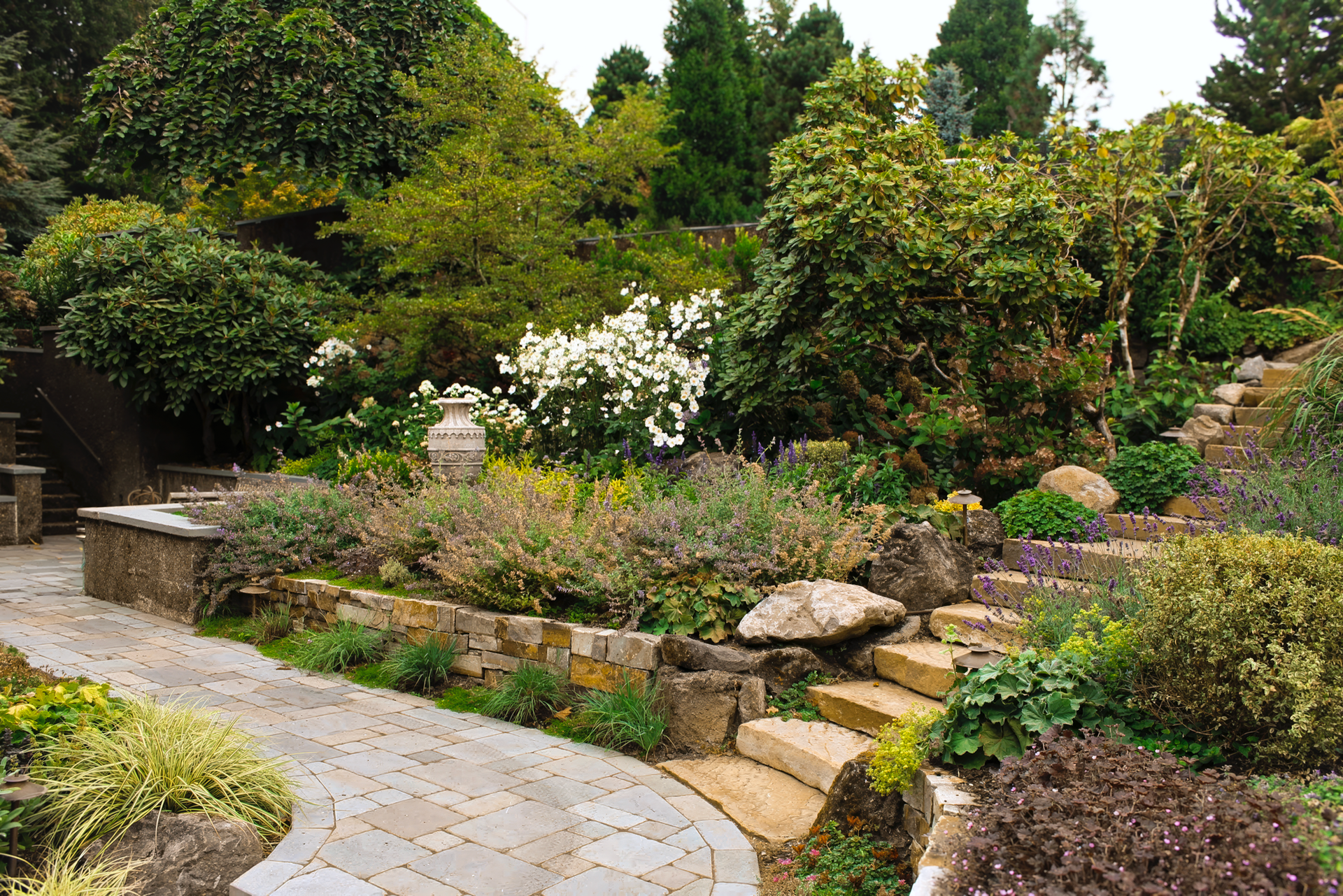 Stone steps and pathway lead through a lush garden with diverse plants, shrubs, and a white flowering bush.