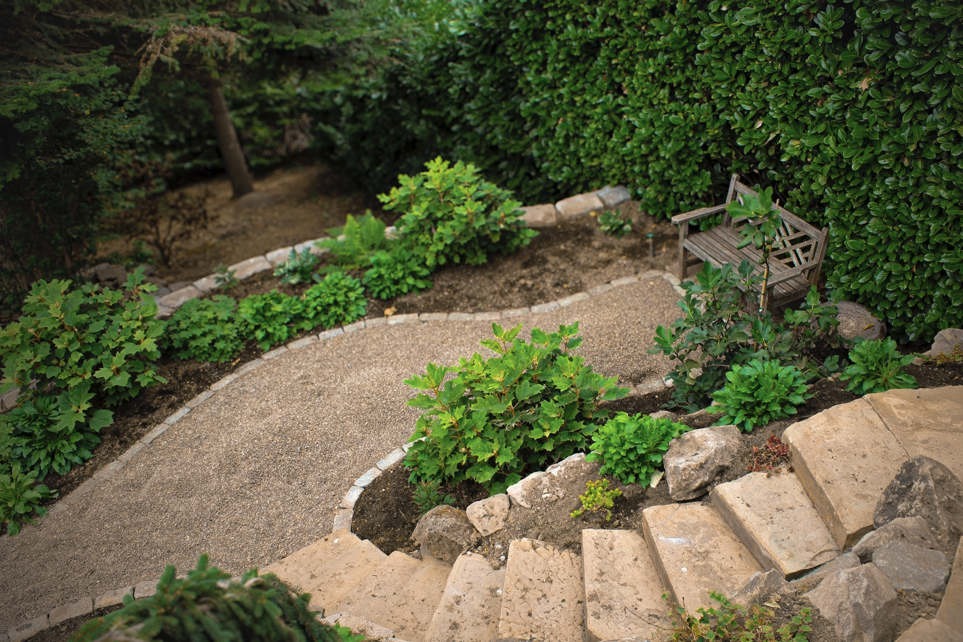Stone path winds through a garden with bushes, steps, and a bench.