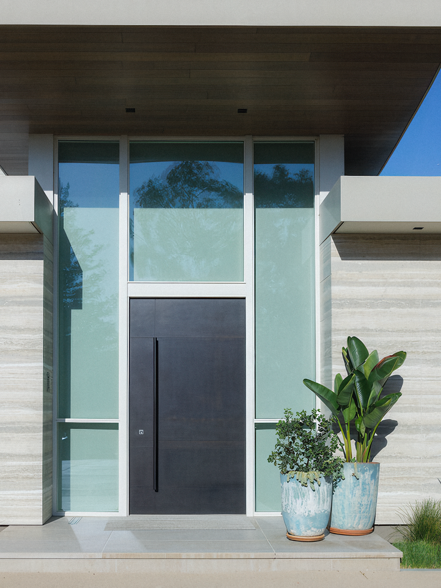 Modern house entryway with black door, glass panels, and potted plants.