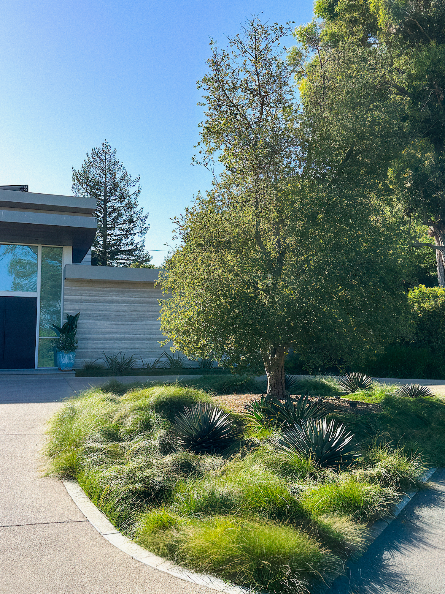 Landscaped front yard with tree, concrete wall, and patches of green grass.