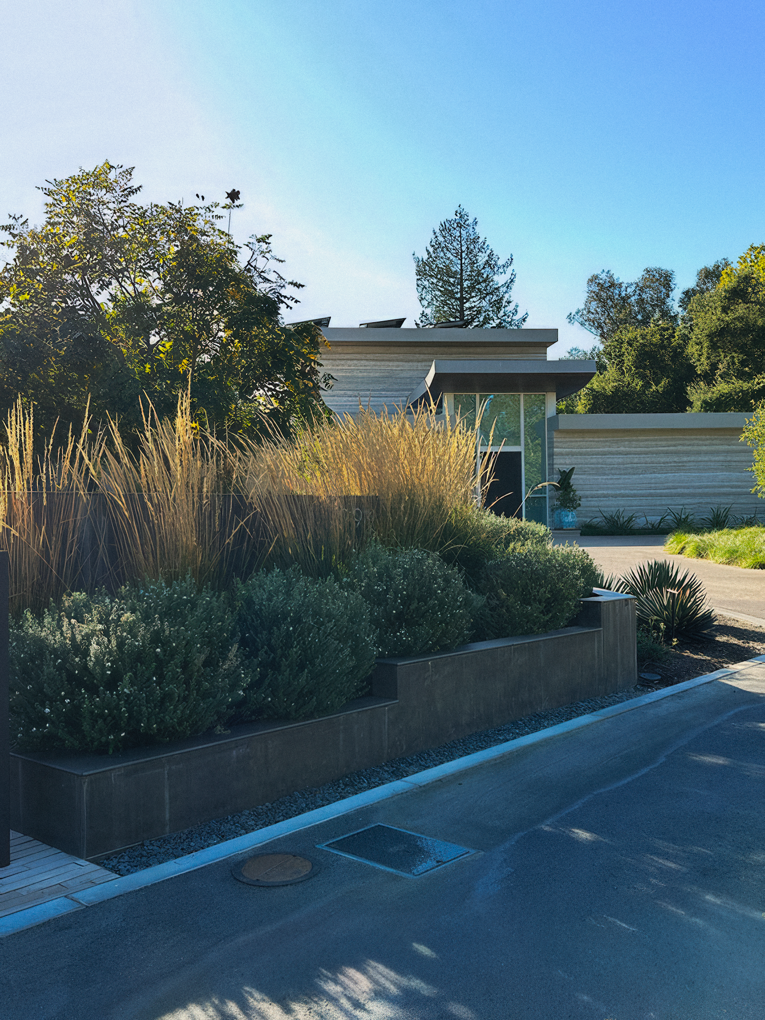 Exterior view of a building with modern design, featuring a raised garden bed with plants and tall grasses under a clear blue sky.