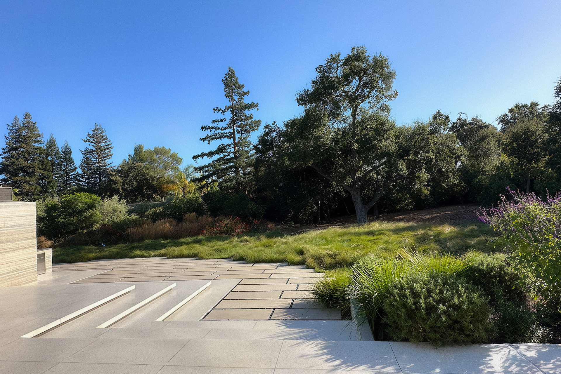 A sunny outdoor scene with trees, grassy slope, and stone patio.