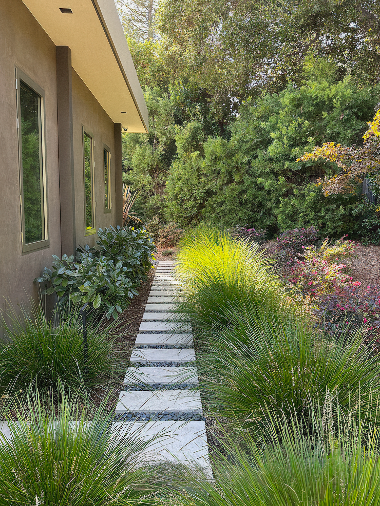 Stone path winds through a garden of green and red foliage beside a modern building.