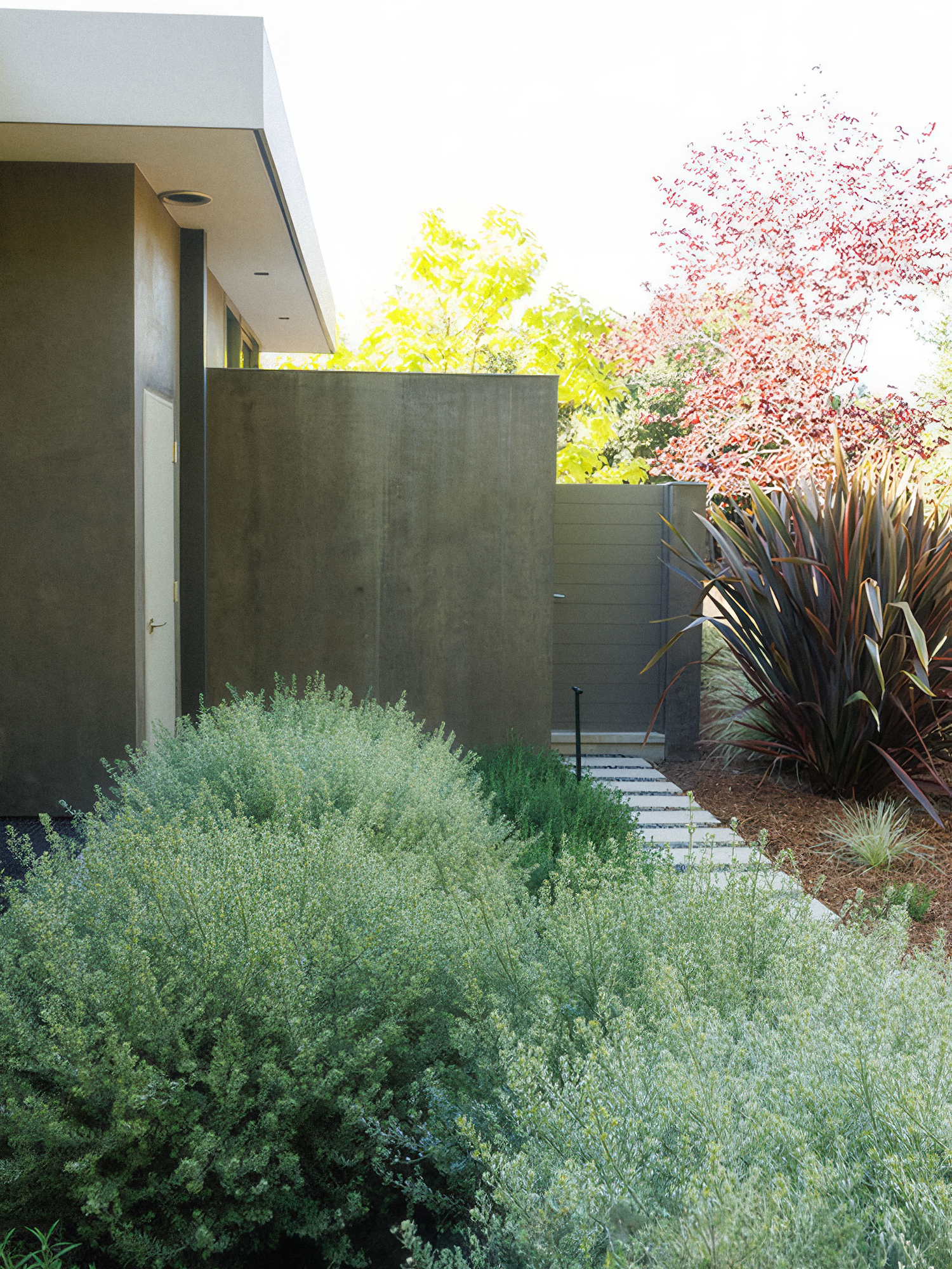 Entrance to a modern home with a walkway, surrounded by greenery and trees; neutral tones.