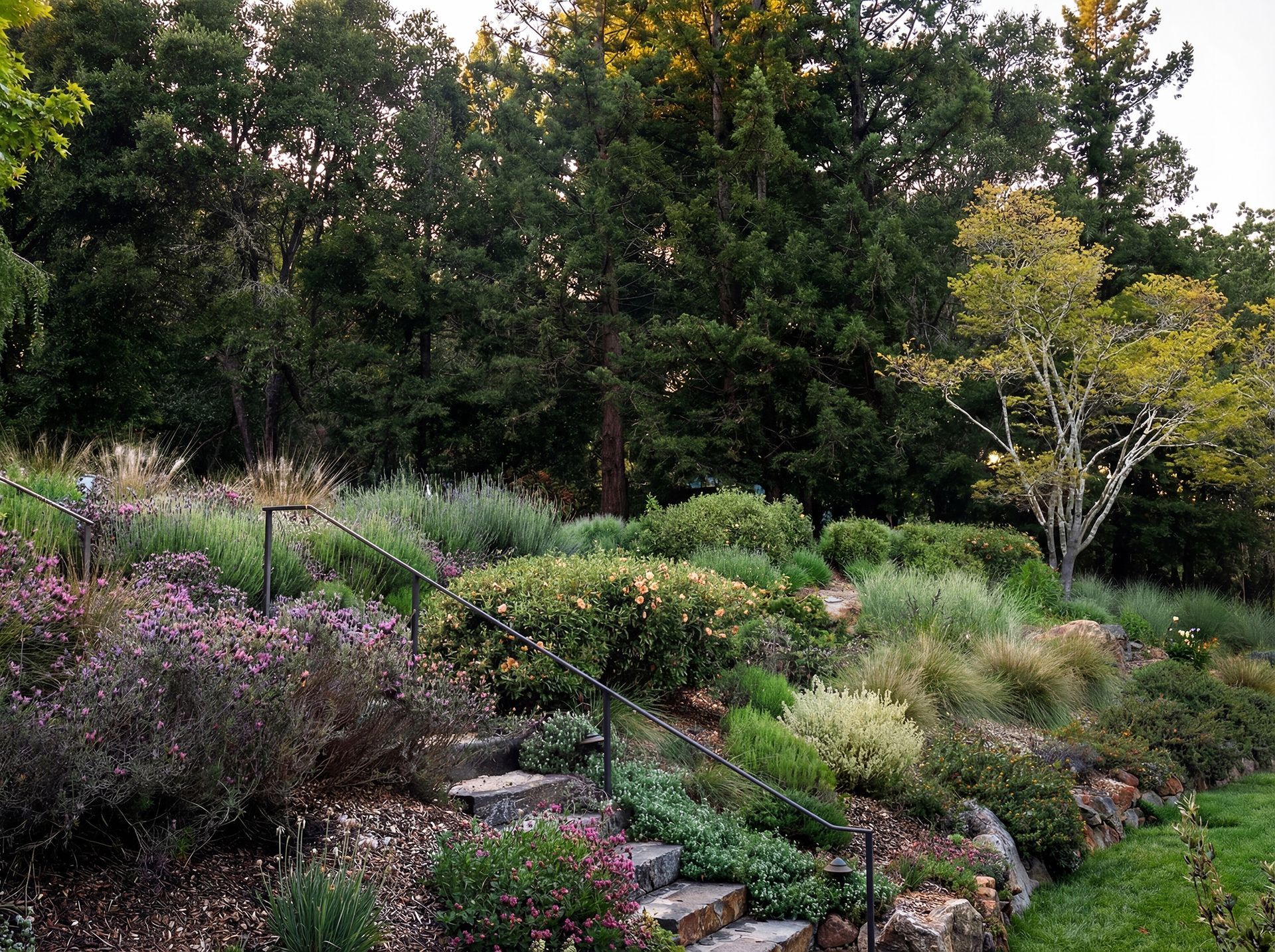 Stone steps lead up a hillside garden with diverse green and purple plants, trees in the background.