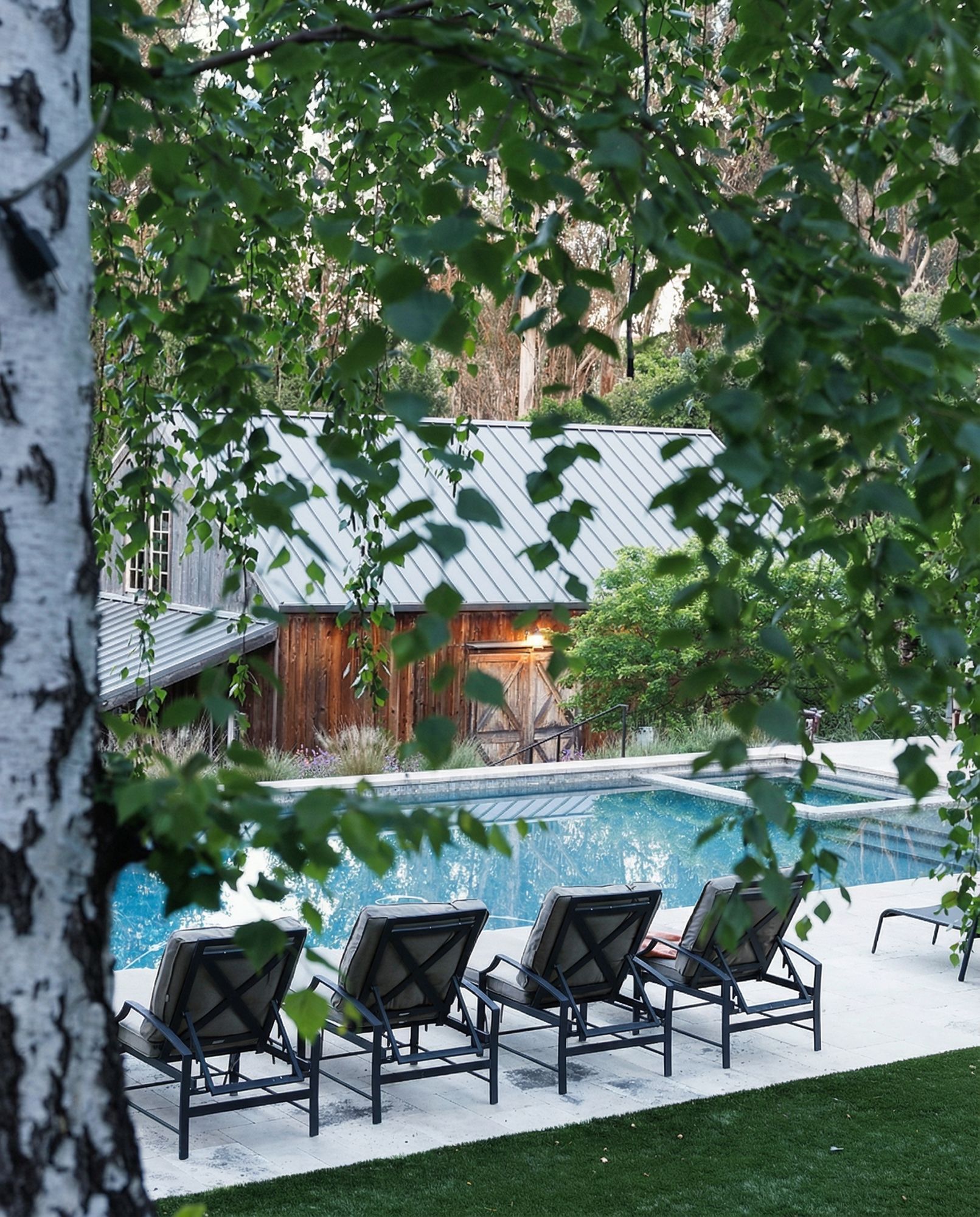 Swimming pool scene framed by tree branches. Lounge chairs face pool. Wooden structure in background.
