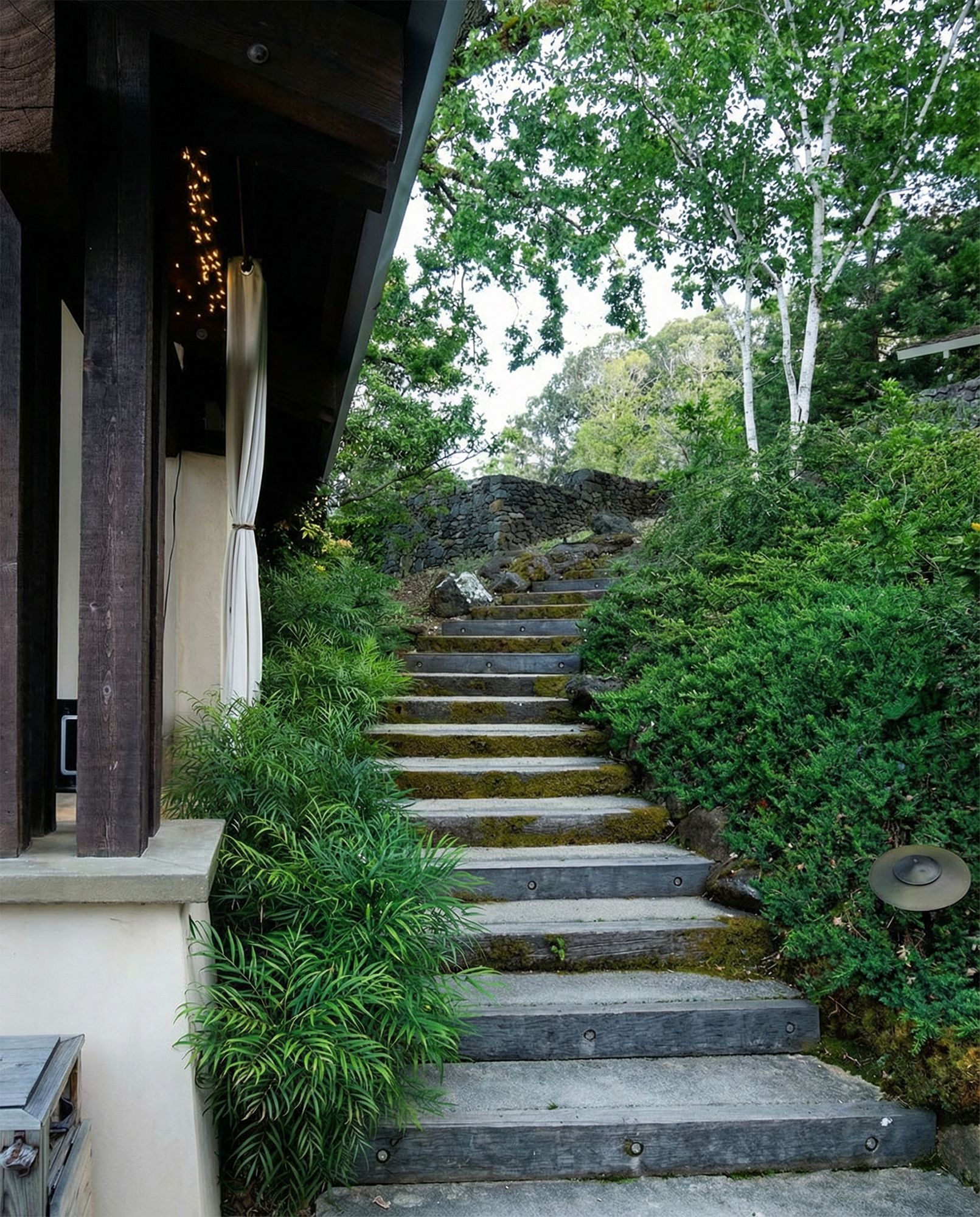 Stone steps ascend a hillside, flanked by lush greenery, leading to a natural stone wall and trees.