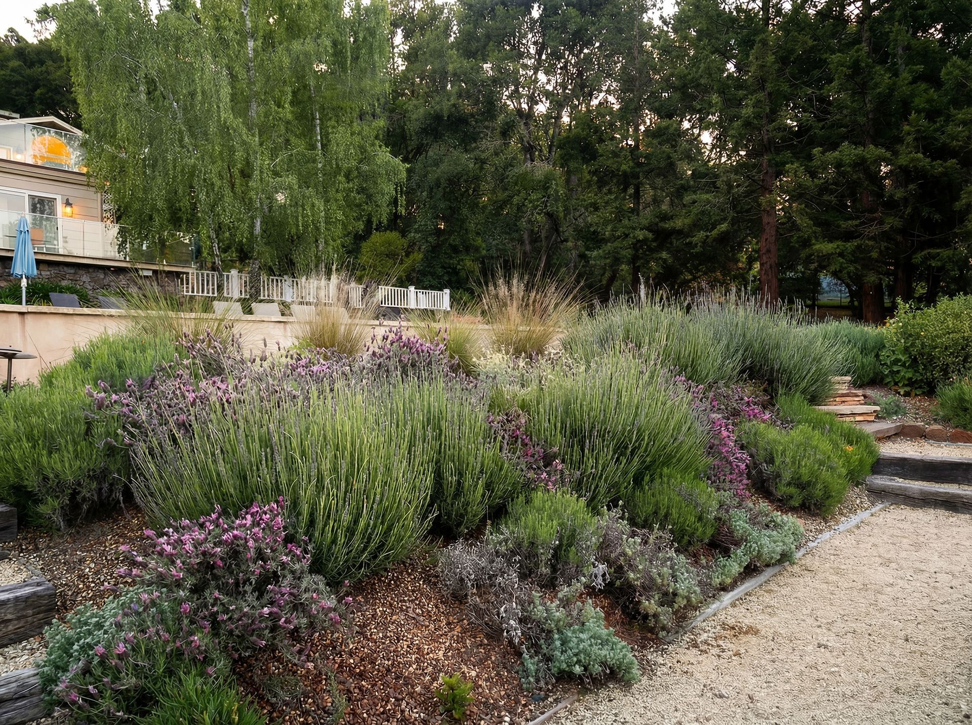 A landscaped garden bed with various green and purple plants, wood chips, and gravel.