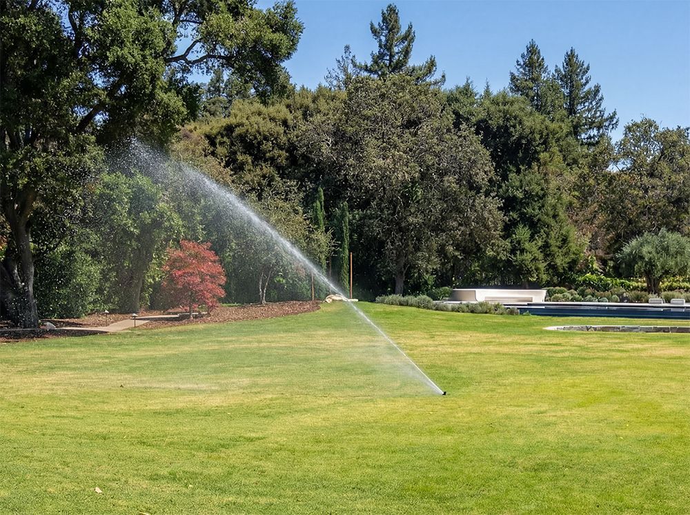 Sprinkler irrigates a green lawn in a park with trees under a blue sky.