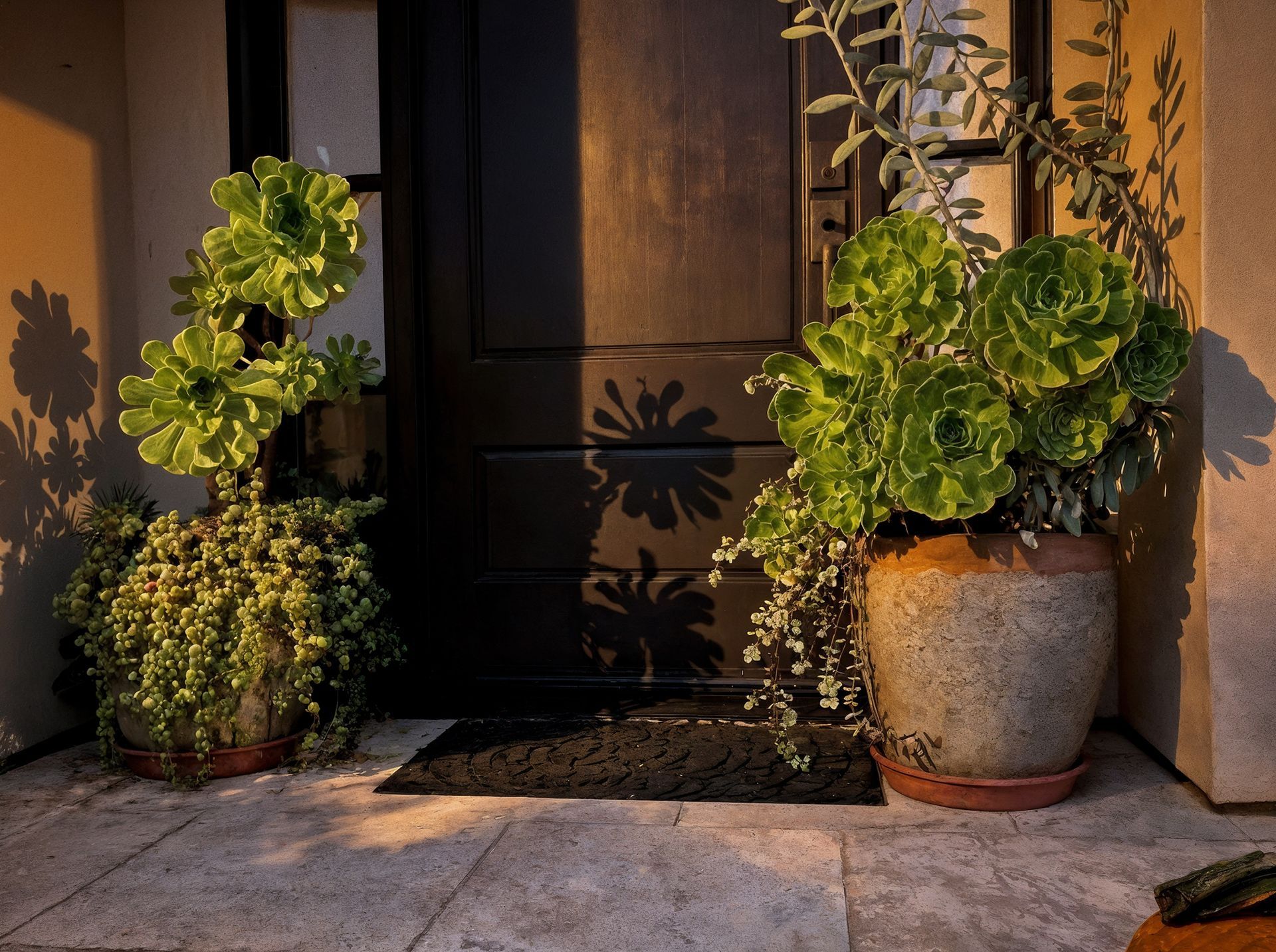 A black front door with potted plants on each side, casting shadows on the stone porch.