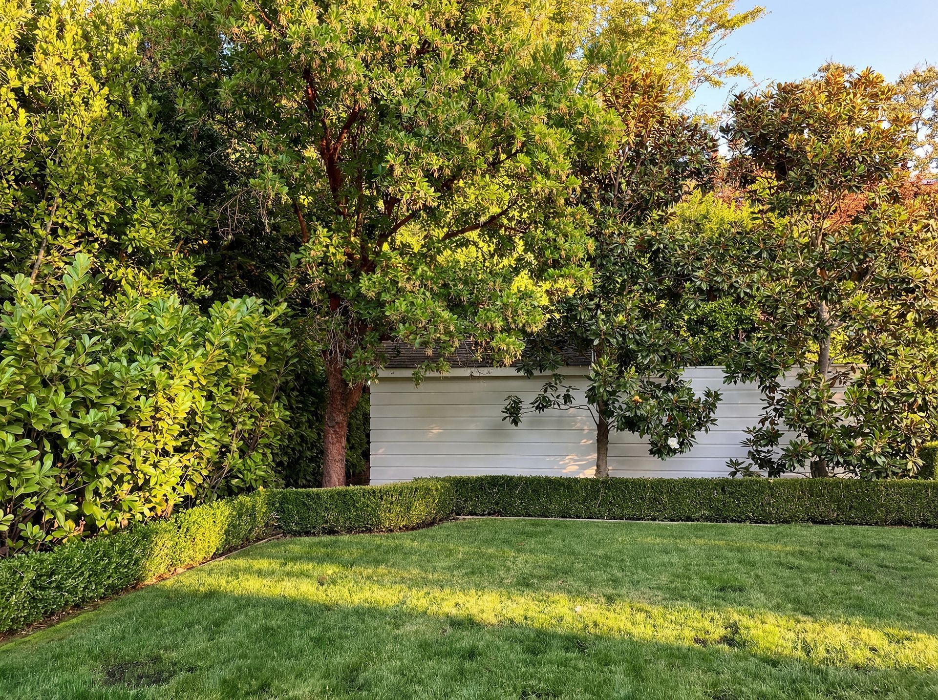 Green lawn with manicured hedges and trees, a white wall in the background.