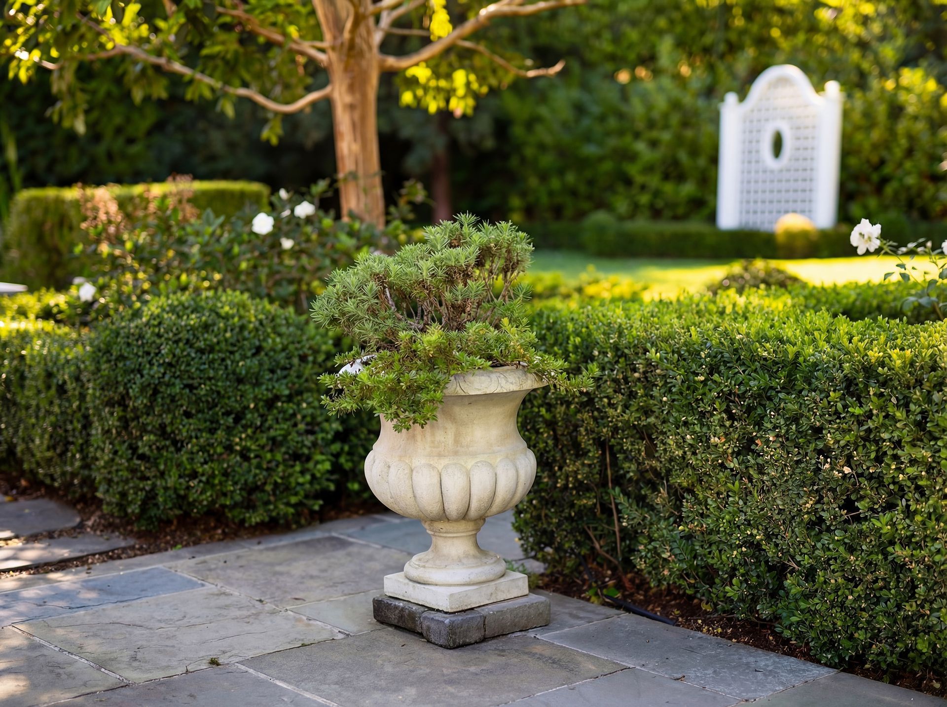 Stone planter with greenery on a patio, surrounded by trimmed hedges and a garden with a white arbor.