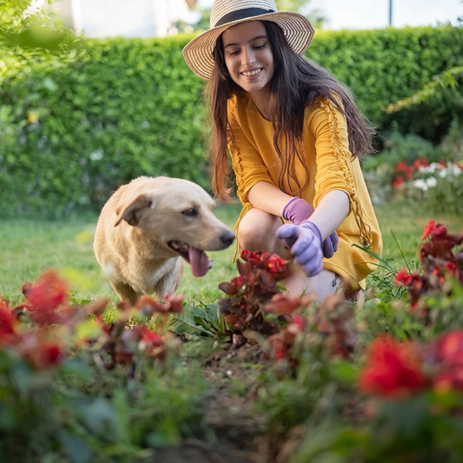 Jenna Bayer Garden Design, Inc.