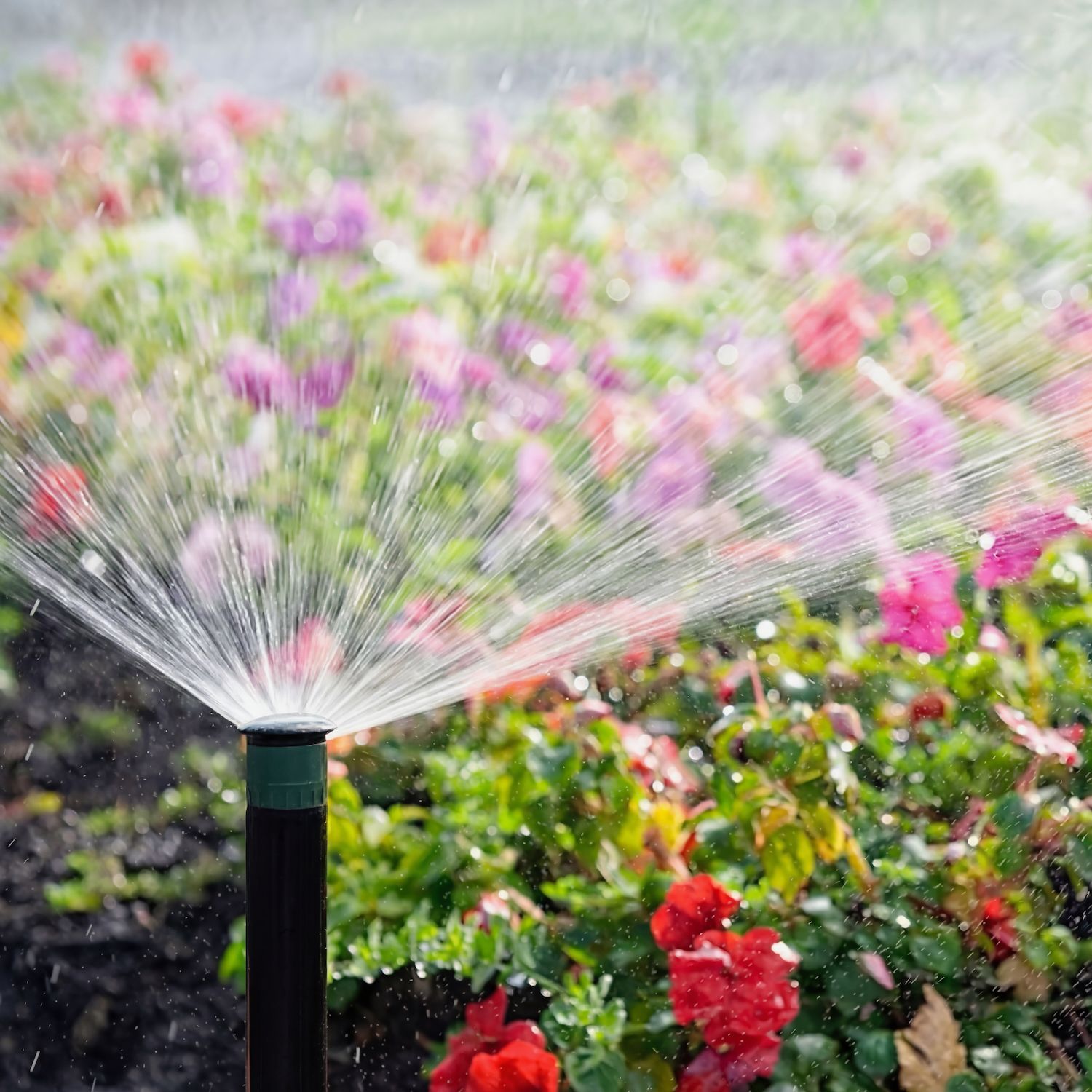 Jenna Bayer Garden Design, Inc.