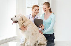Spokane Pet Care, Pet Treatment