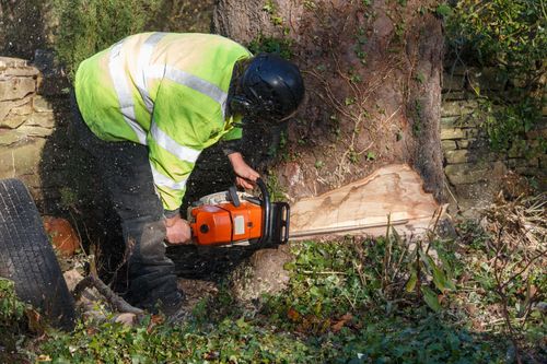 Worker in a high-visibility jacket cutting a tree stump with a chainsaw outdoors.