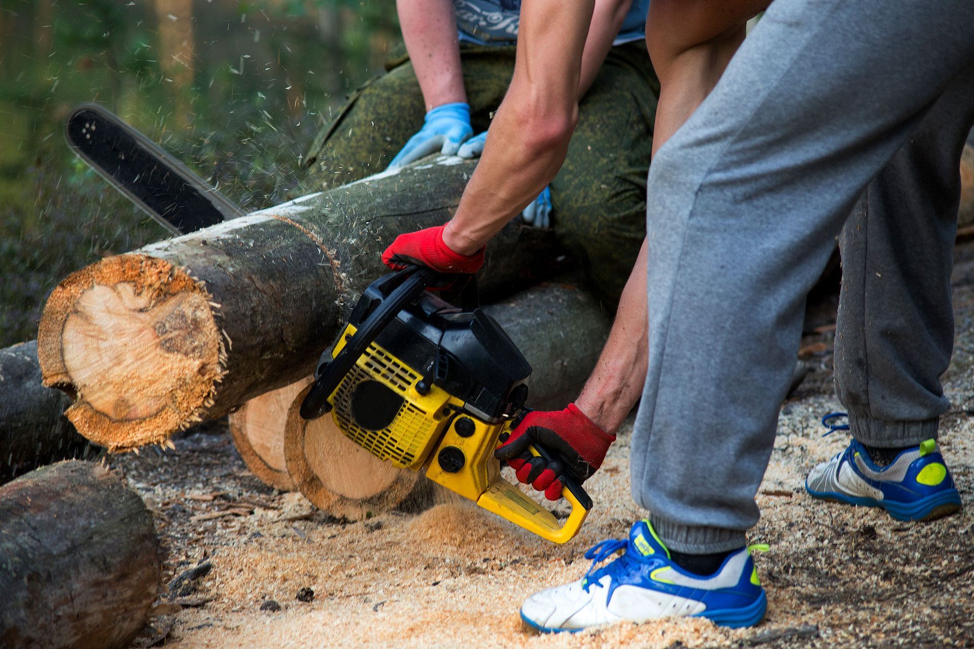 Two people using a chainsaw to cut a fallen tree trunk outdoors