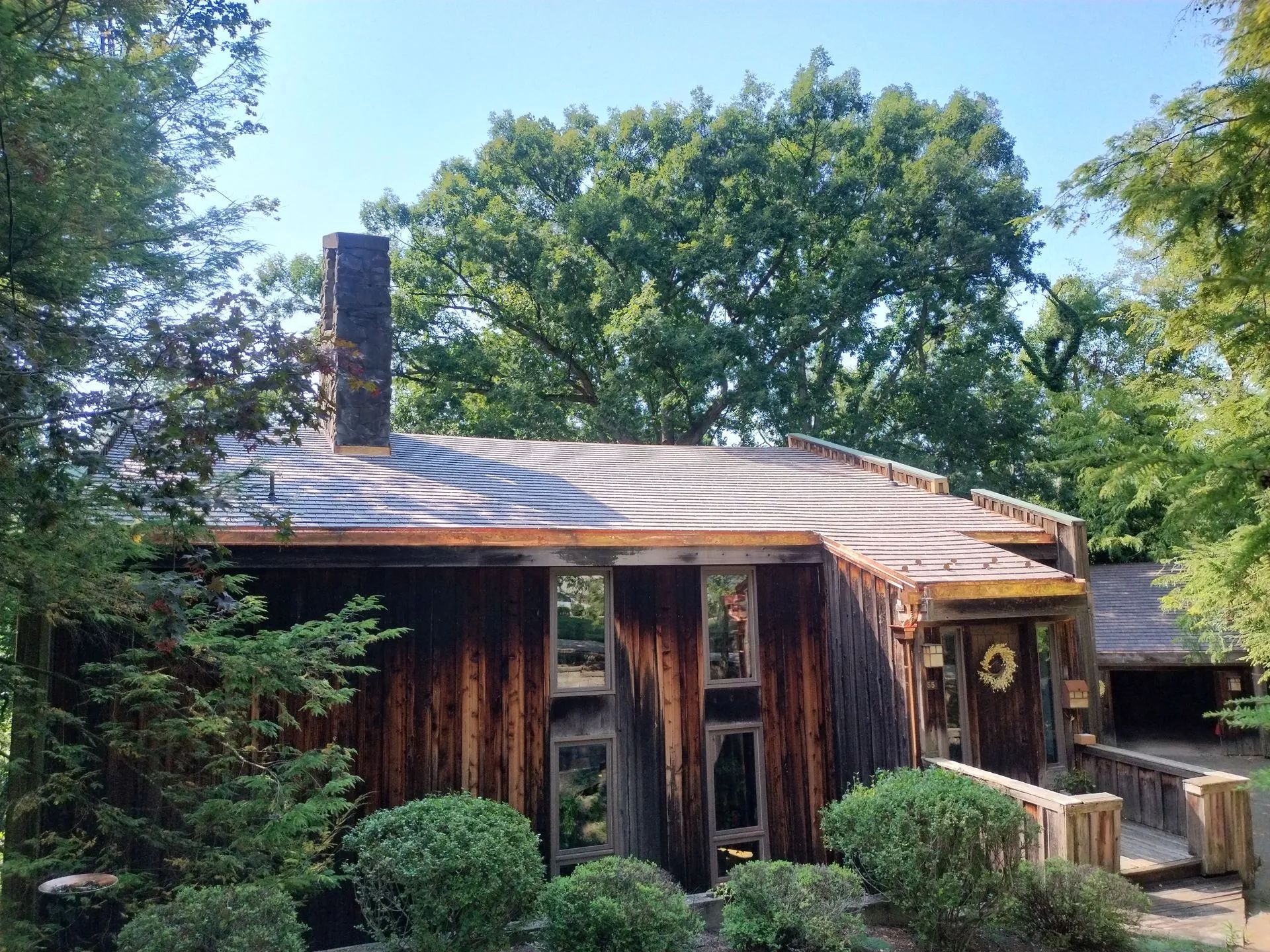 A rustic cabin with dark wood siding, tall windows, and a distinctive wavy-patterned roof, surrounded by lush green trees.