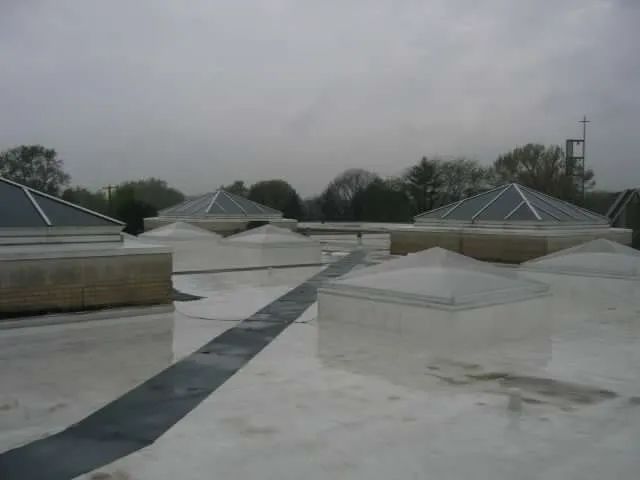 A flat rooftop with multiple pyramid-shaped skylights under a cloudy, overcast sky.