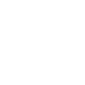 Boat Icon