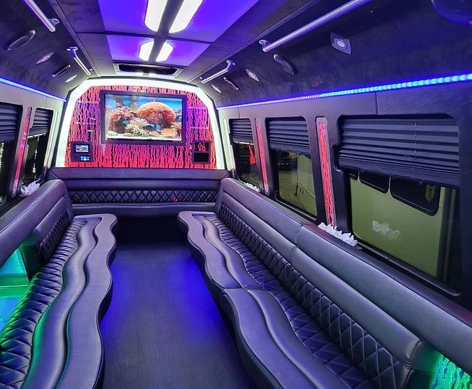 Purple-lit luxury van interior with quilted seats and a wall-mounted screen at the front