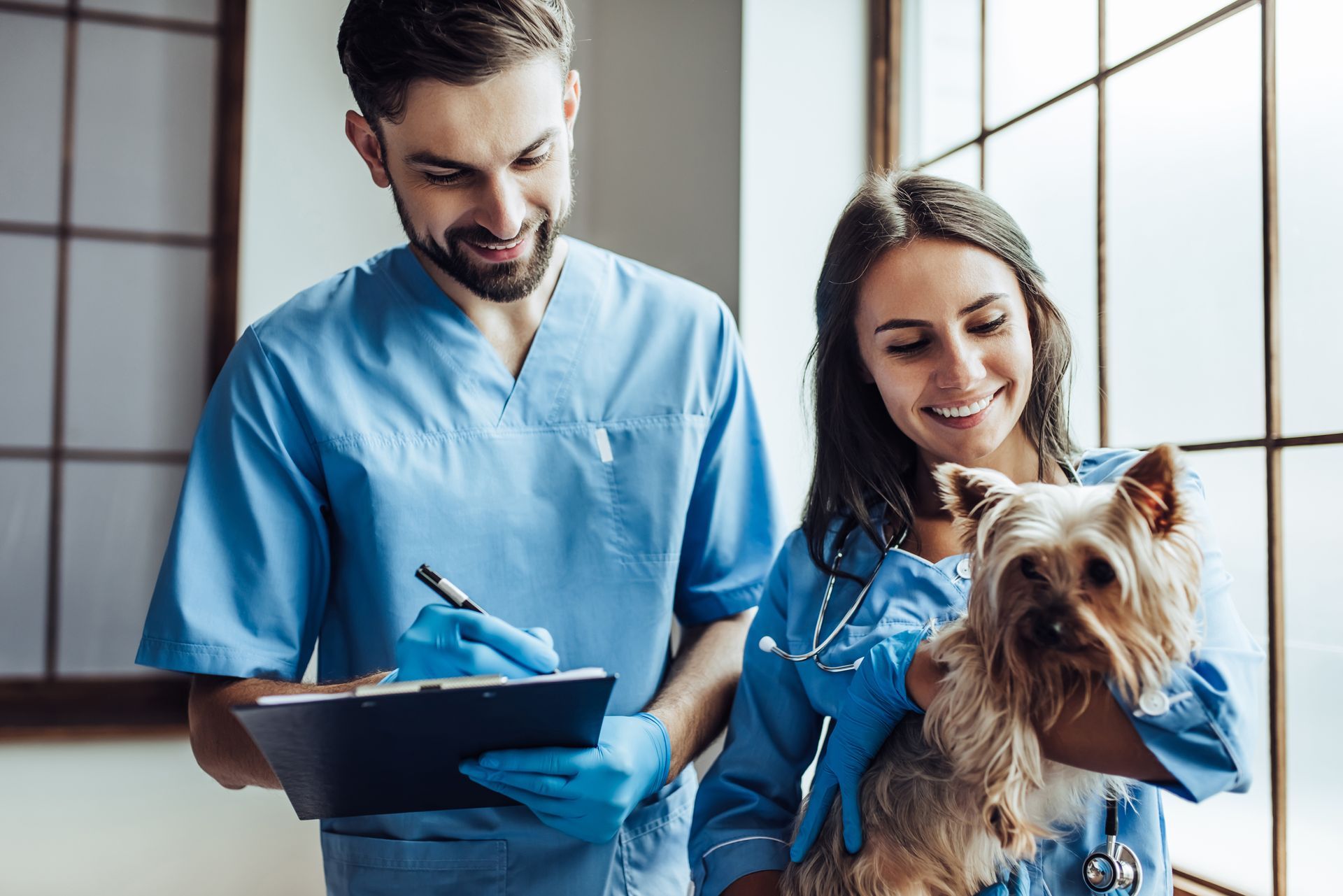 Veterinarian in blue scrubs examines a small dog, while another records notes in a clipboard.