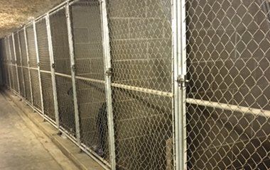 Indoor dog kennels with chain link doors