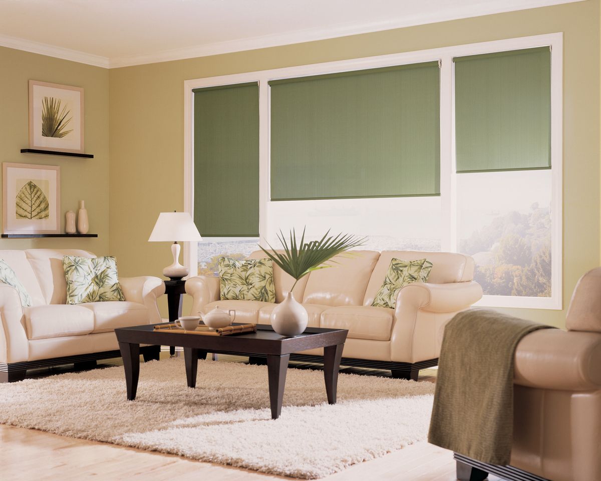 Green window shades