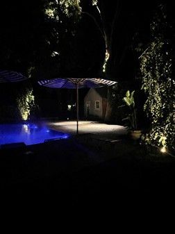 Nighttime view of a backyard with a pool, gazebo, and surrounding trees illuminated with lights.