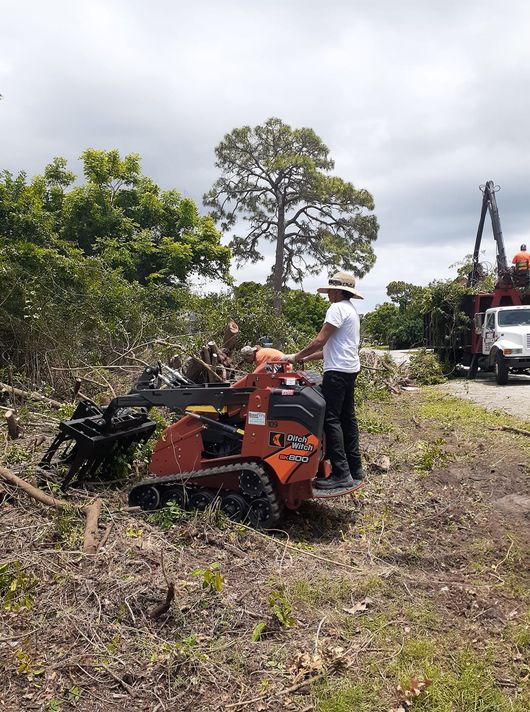 Tree and land clearing, Englewood FL